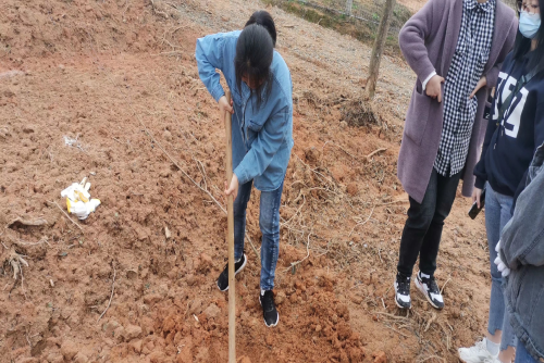 支持人民币的博彩公司