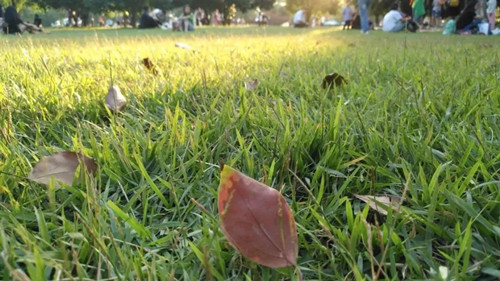 支持人民币的博彩公司