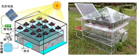 支持人民币的博彩公司